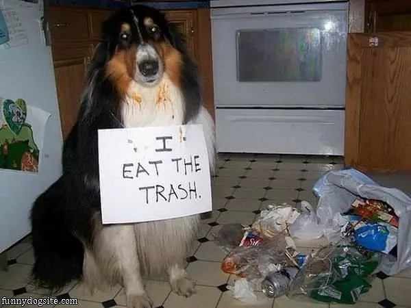 Trash Eater