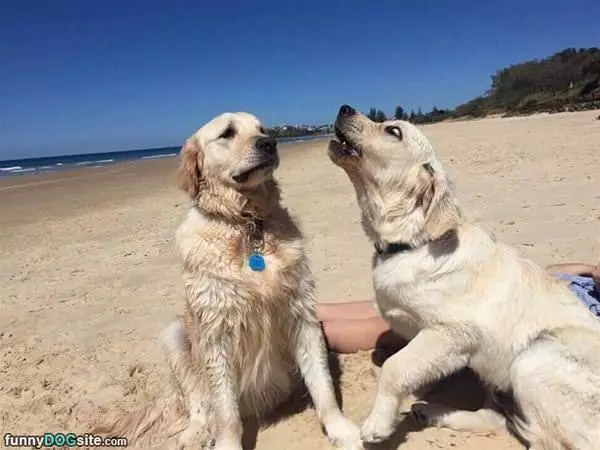 What Did You Just Say To Me