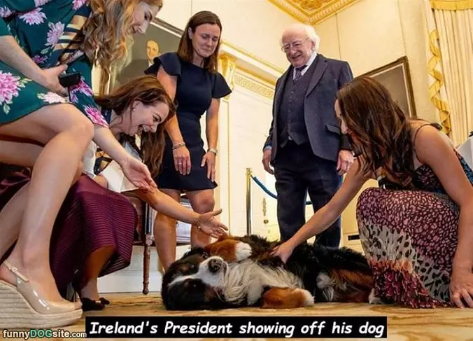 Showing Off His Dog