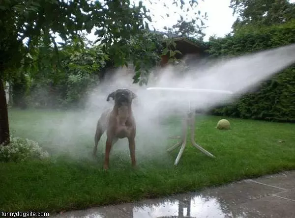 Cooling Down