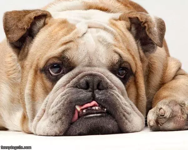 Tired Day