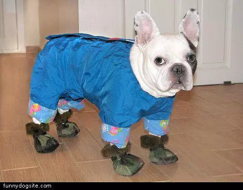 Nice Halloween Costume