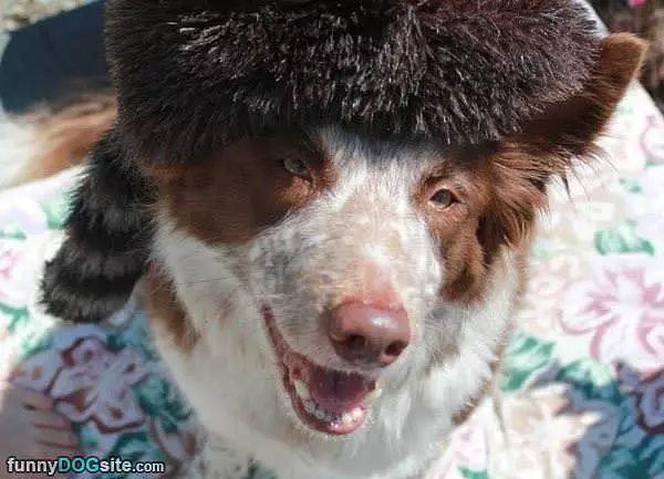 Nice Warm Hat