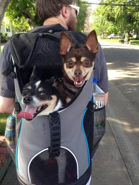 Backpack Is Full