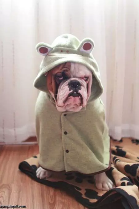I Hate Halloween