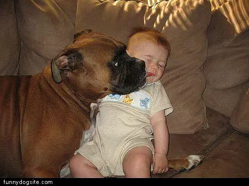 Kisses