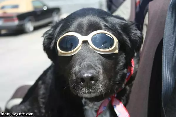 Ready With The Goggles