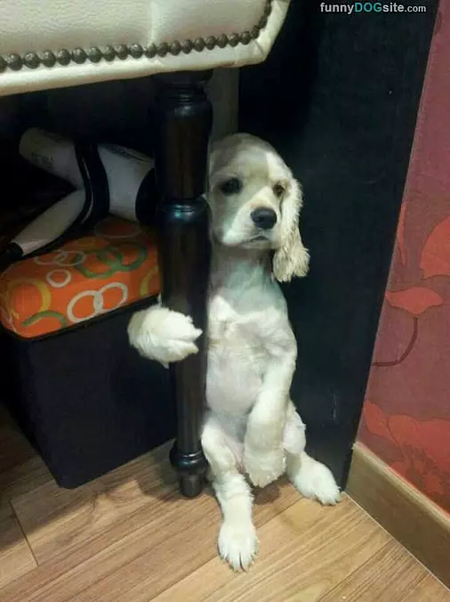 Just Chillaxin Over Here