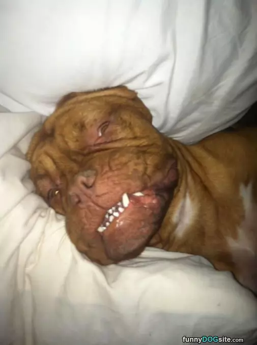Just A Few More Minutes