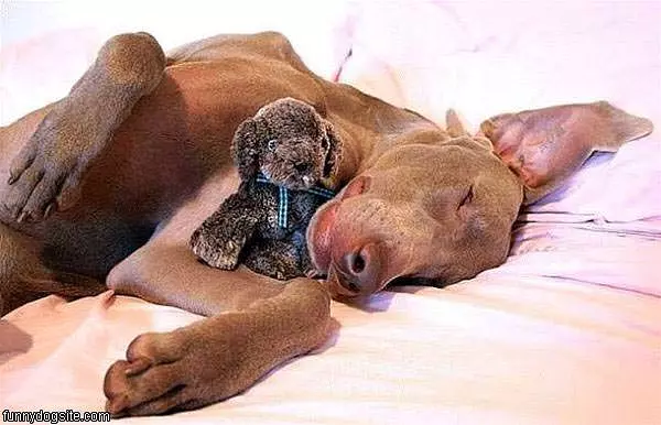 I Sleep Wit Ha Bear