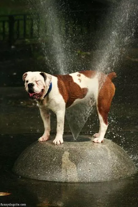 Cooling Off