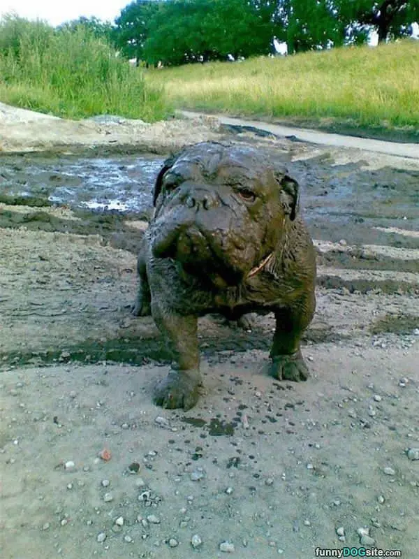 A Little Muddy