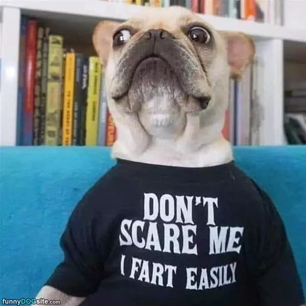 Dont Scare Me