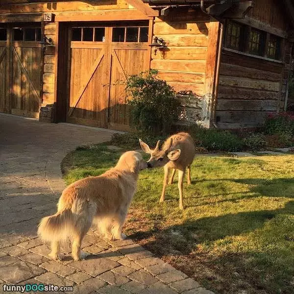 Nice To Meet You