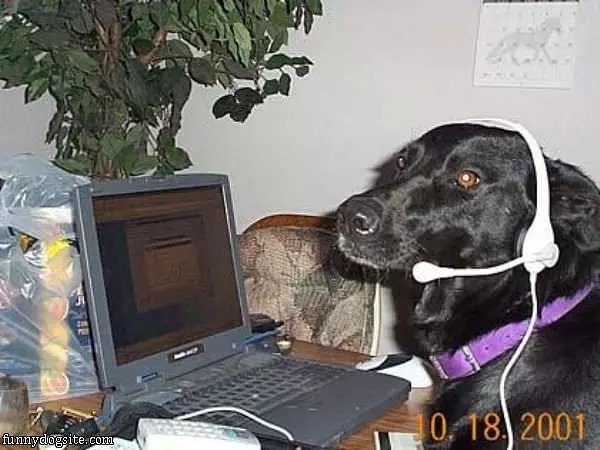 Tech Support