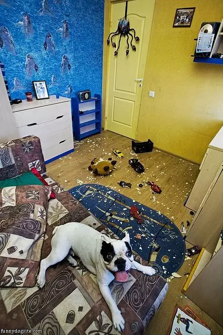 Cleaned The Room