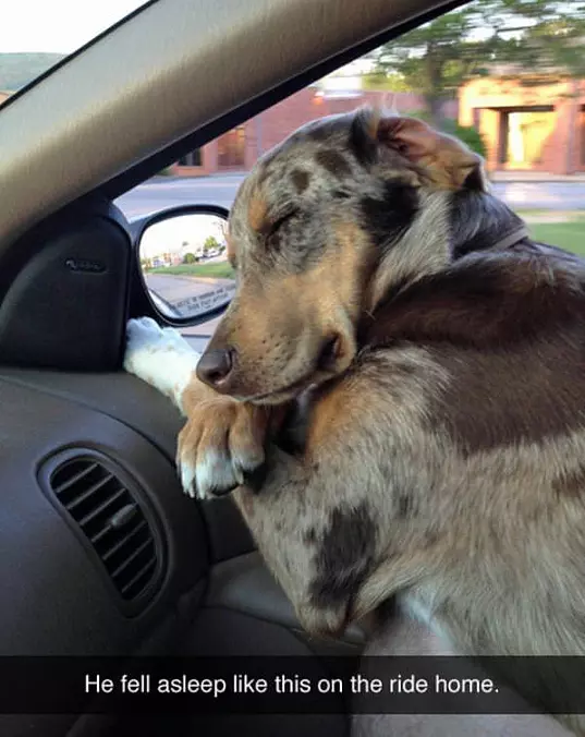 Fell Asleep Like This