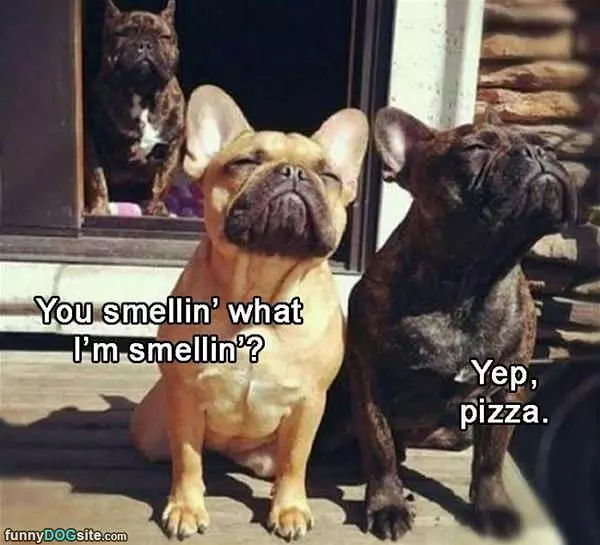 Smelling What I Am