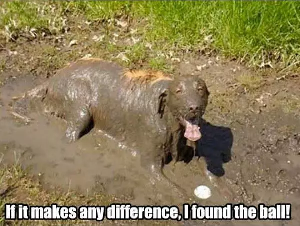 If It Makes A Difference
