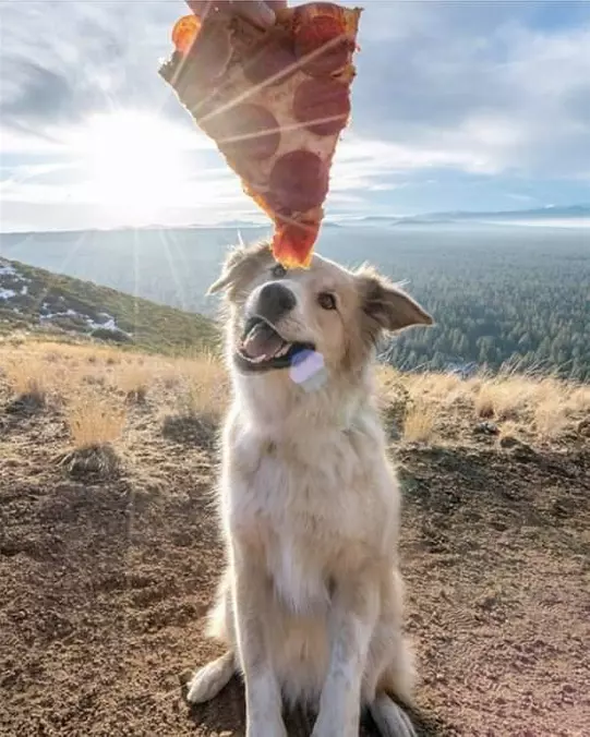 I Think That Is Pretty
