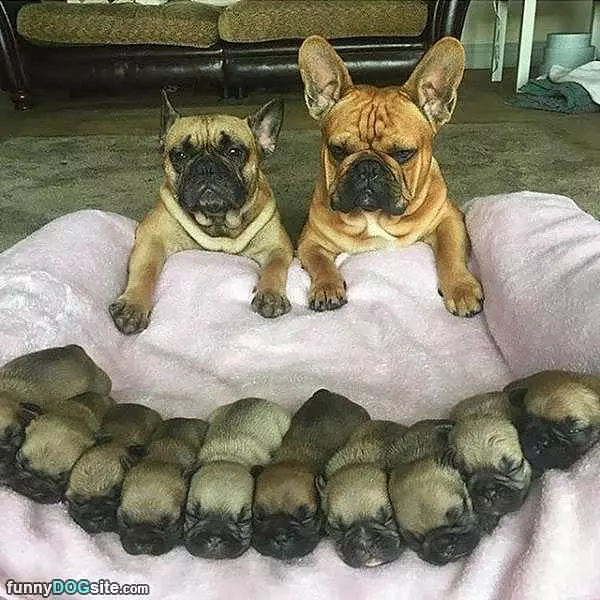 We Made These