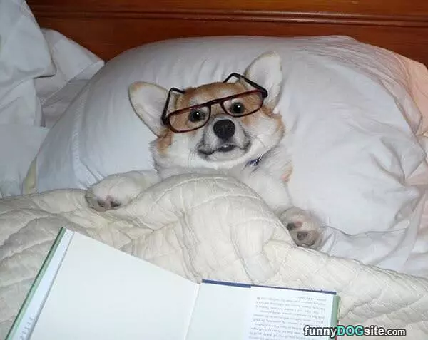 Catching Up On Some Reading