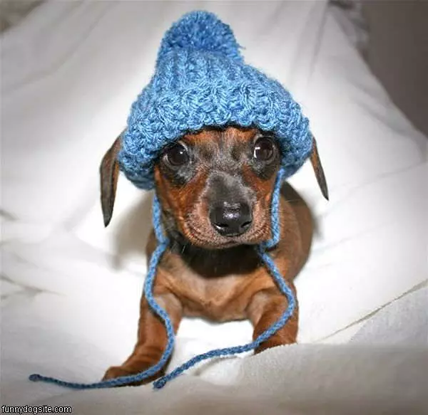 Nice Hat