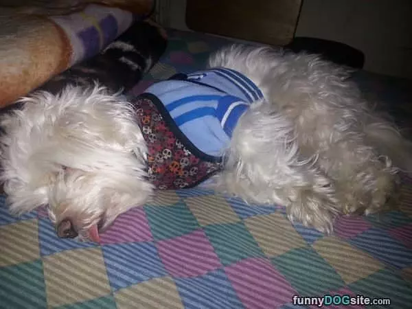 Totally Pooped Out