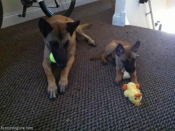 Big And Little