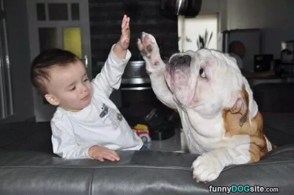 Lets High Five