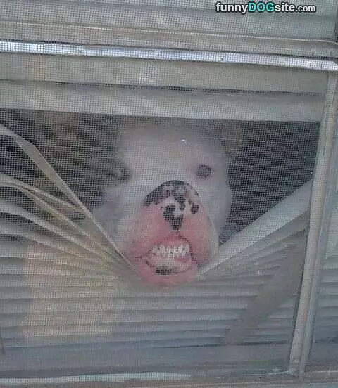 What Do You Want