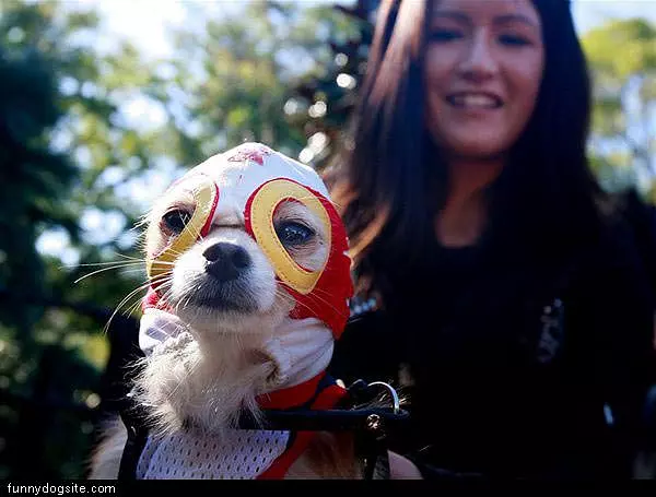 Masked Dog
