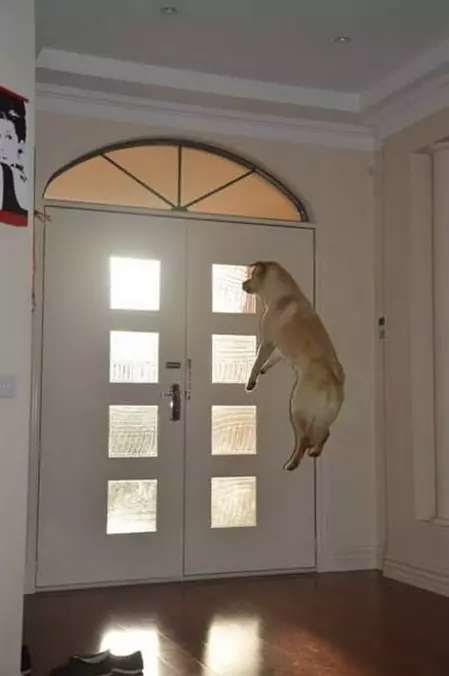 Top Window