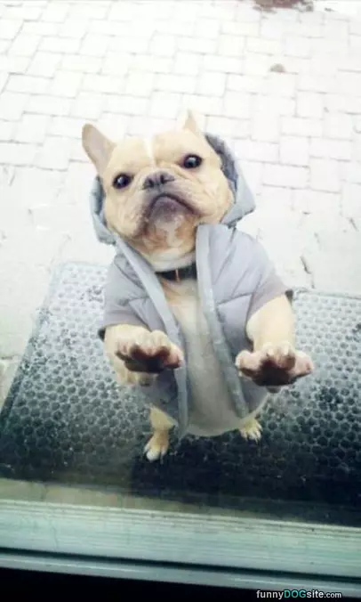 Hey You Let Me In Now