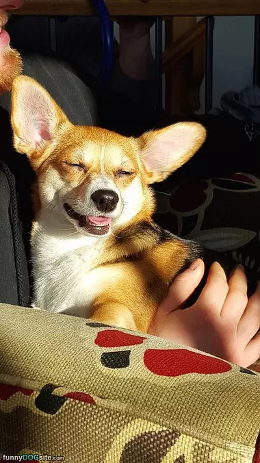 Nice Sunny Day
