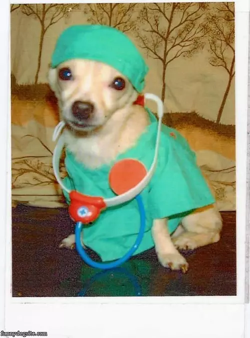 The Doctor