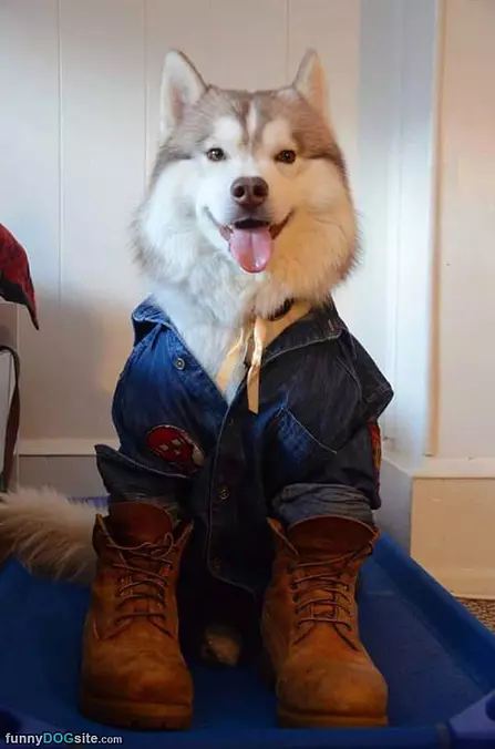 All Dressed Up Fun