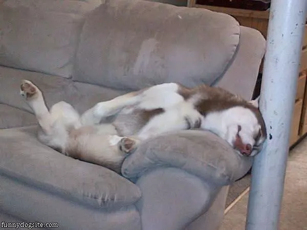 I Am Sooo Sleepy