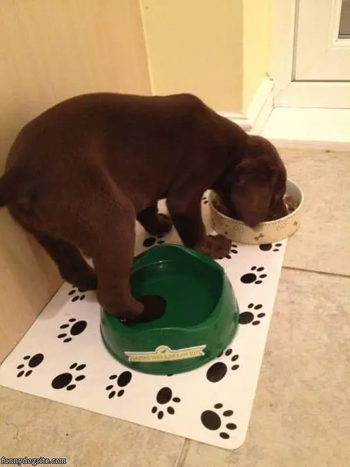 Loves Water Loves Food