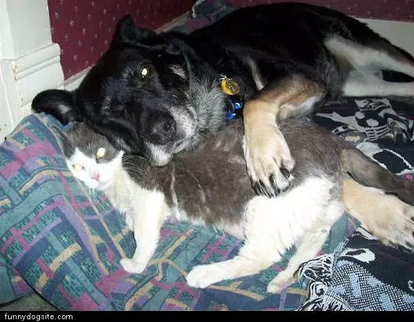 Best Friends