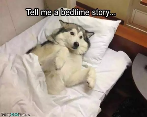 Tell Me A Story