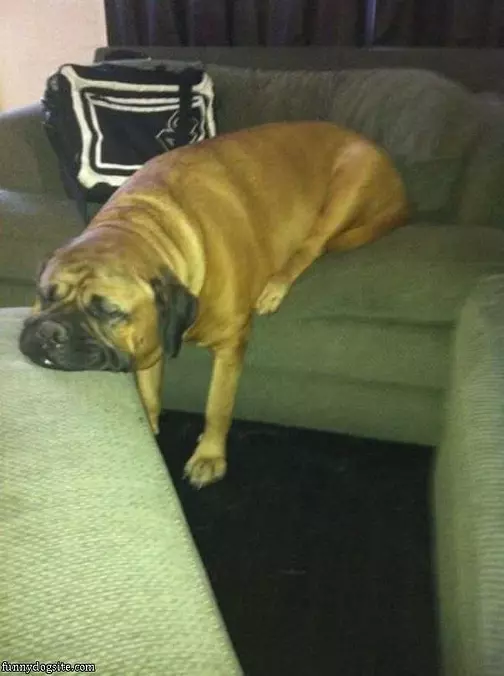 How I Sleep Today