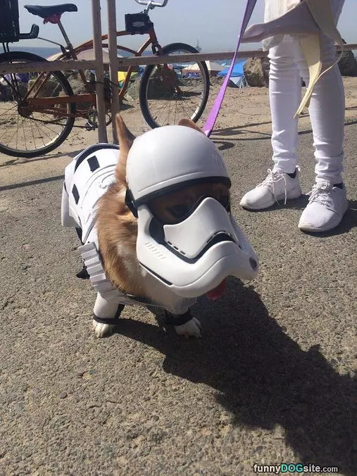 Use The Force