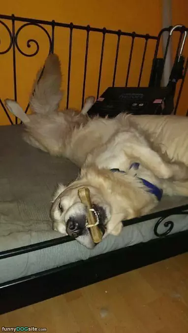 Laying Around