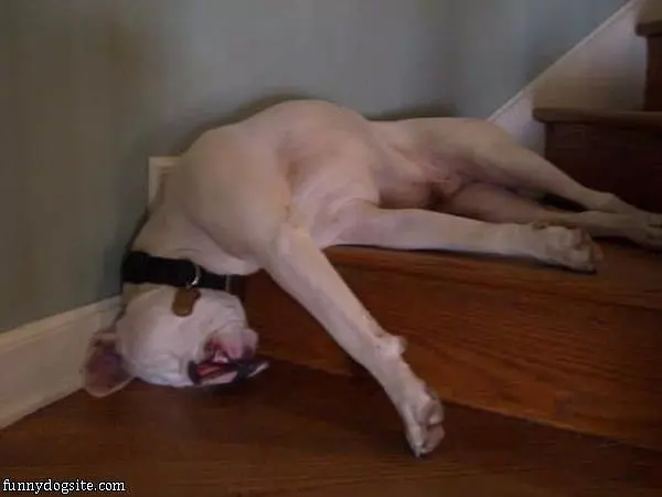 Just Laying Around Here