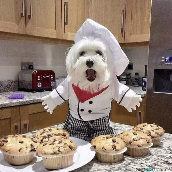 Baking Time