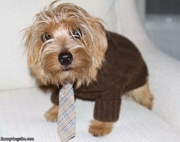 Ready For Work
