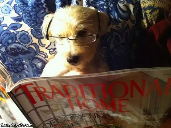 Doing Some Reading
