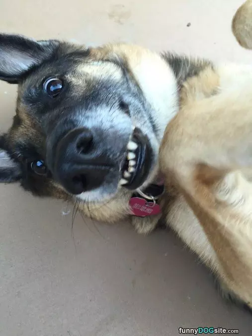 I Am Being So Cute