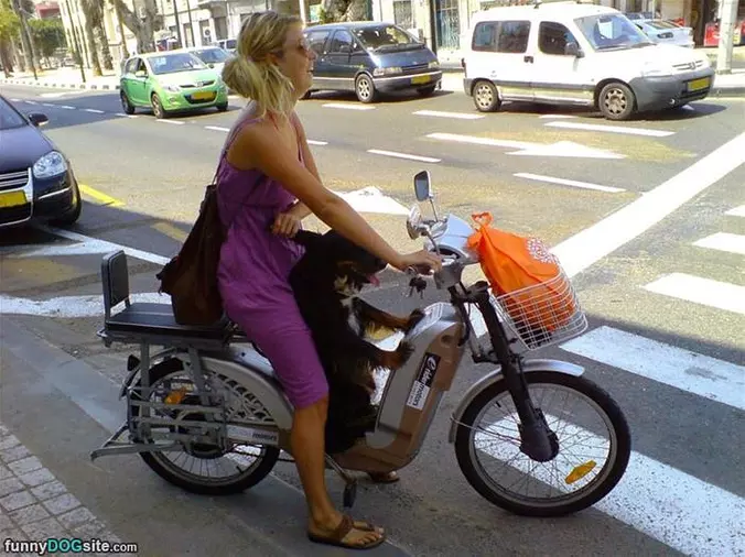 A Bike Ride